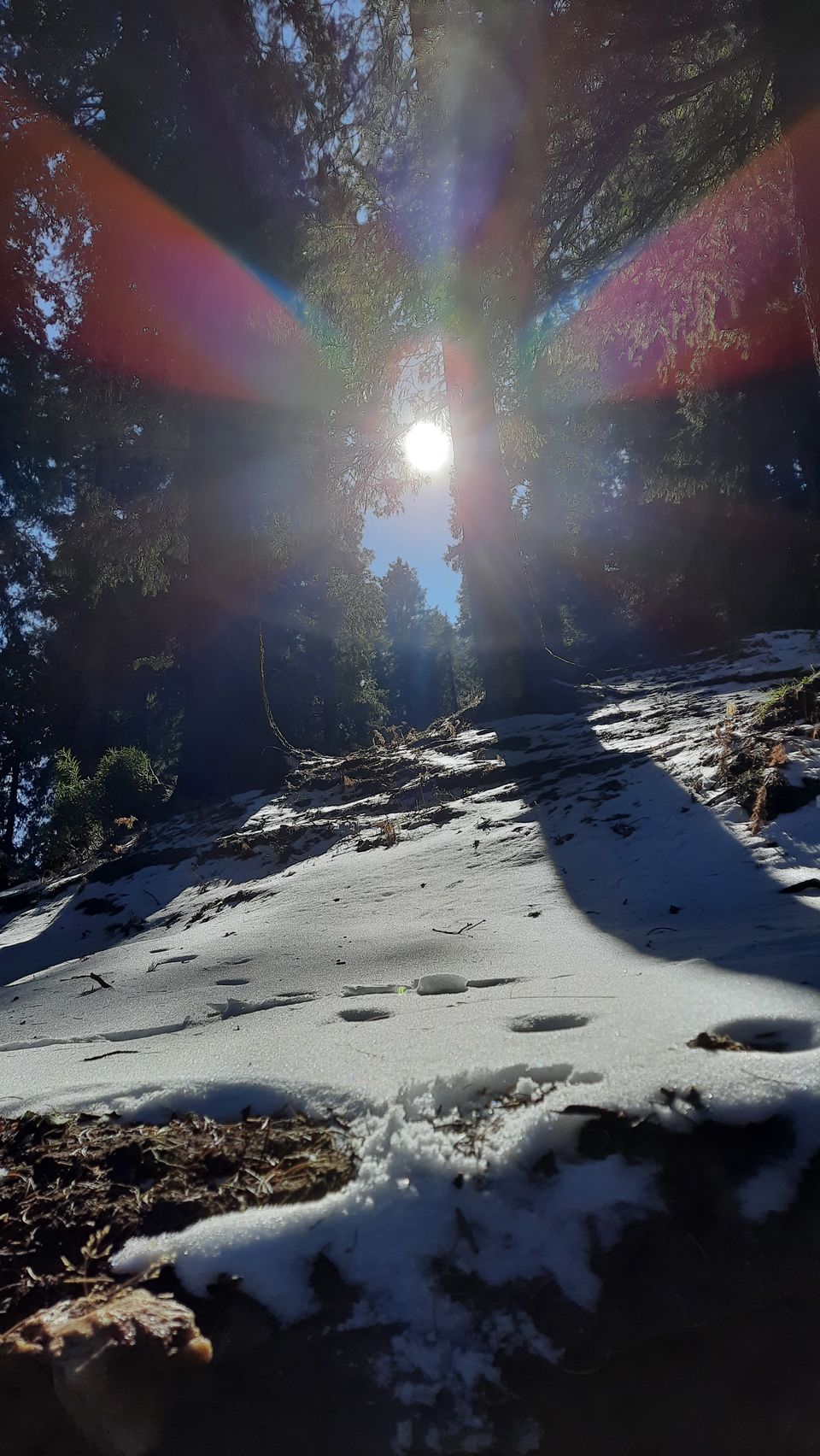Photo of Why I Chose New Year's Day Over New Year's Eve - #2021 2/6 by Yashodhara Roy