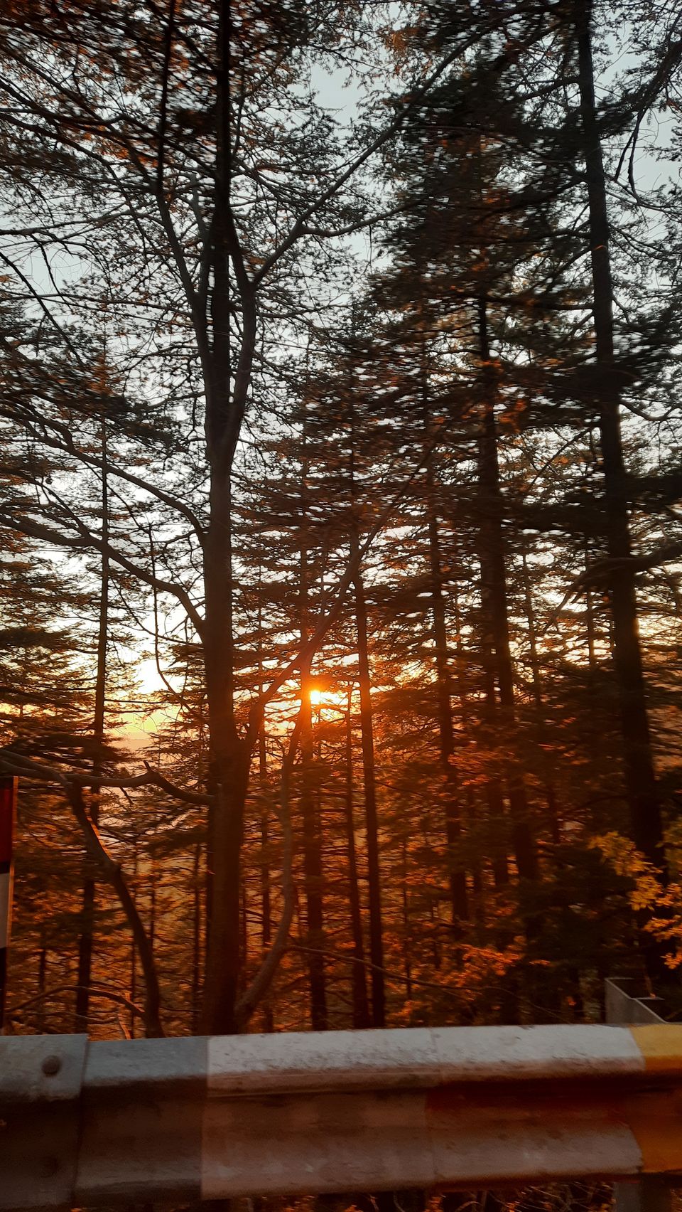 Photo of Why I Chose New Year's Day Over New Year's Eve - #2021 6/6 by Yashodhara Roy
