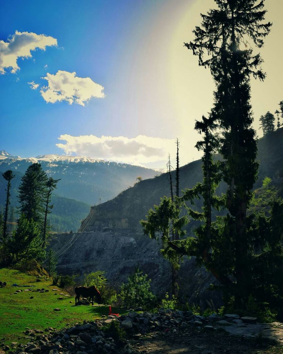 Photo of The unplanned - Kheerganga, Himachal Pradesh 25/31 by Anshuman Singh