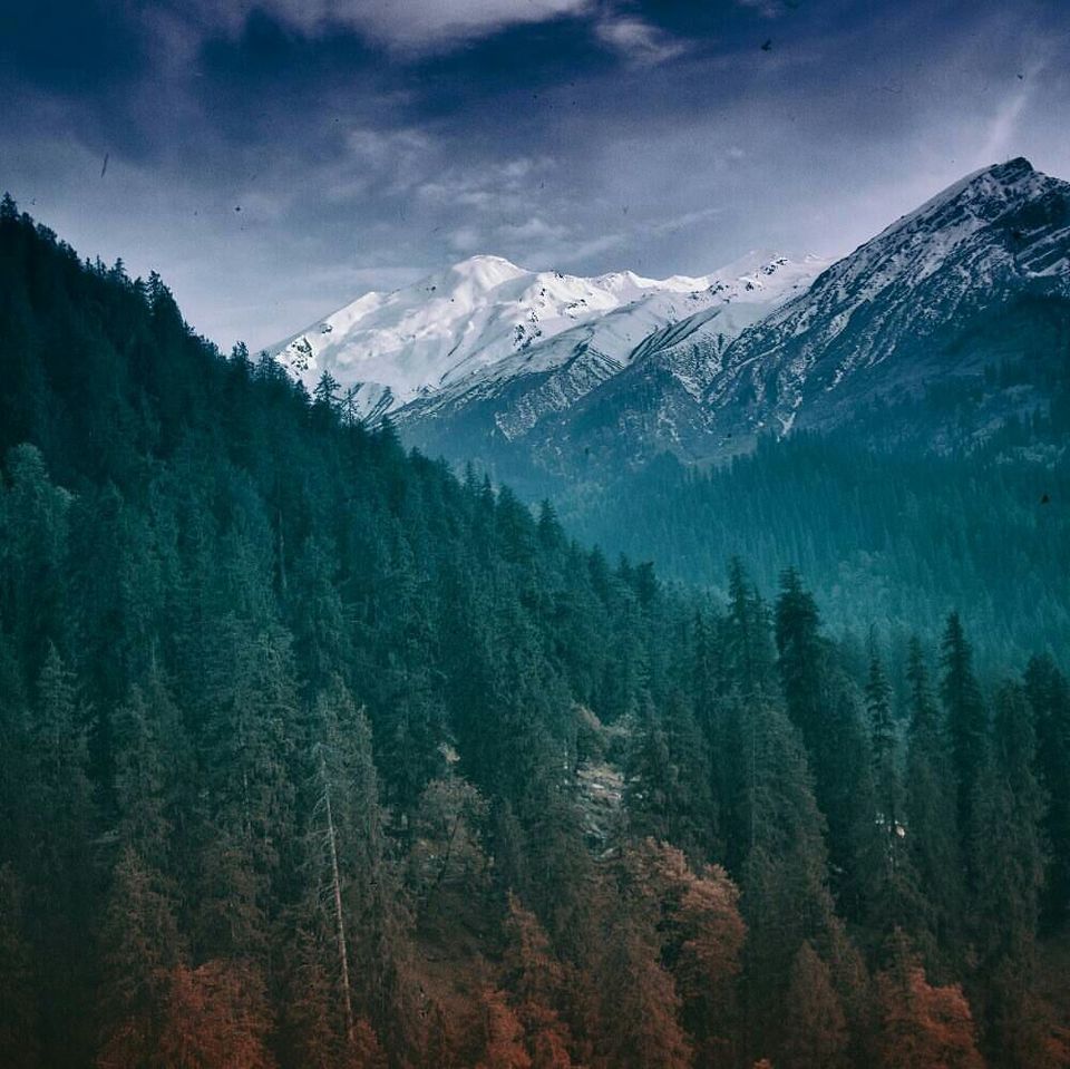 Photo of The unplanned - Kheerganga, Himachal Pradesh 27/31 by Anshuman Singh