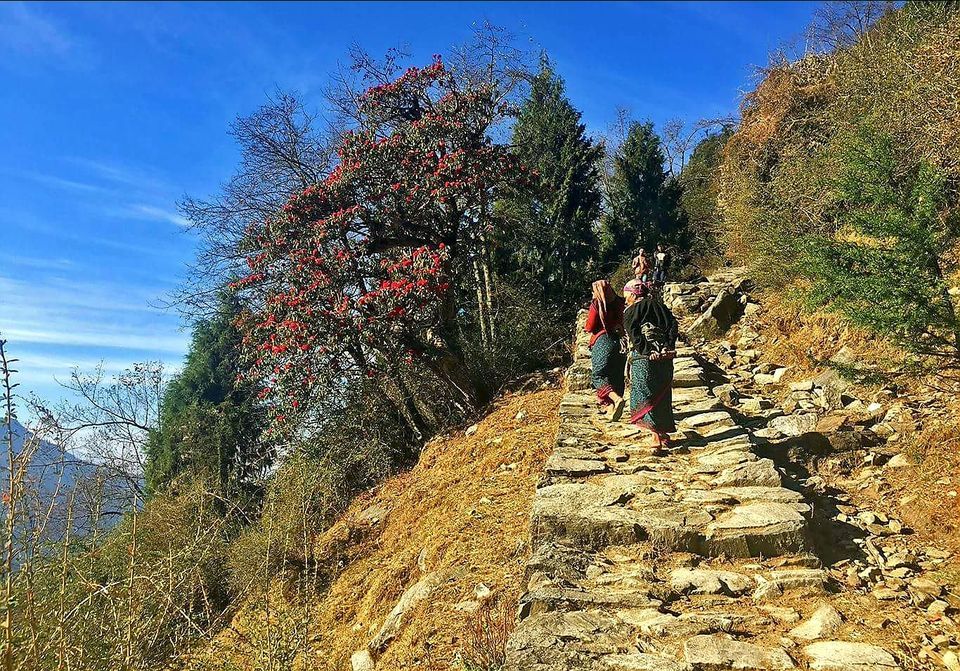 Photo of Best place to pitch your camp and indulge in the beautiful vistas around - Deoria Tal by Roads Unexplored