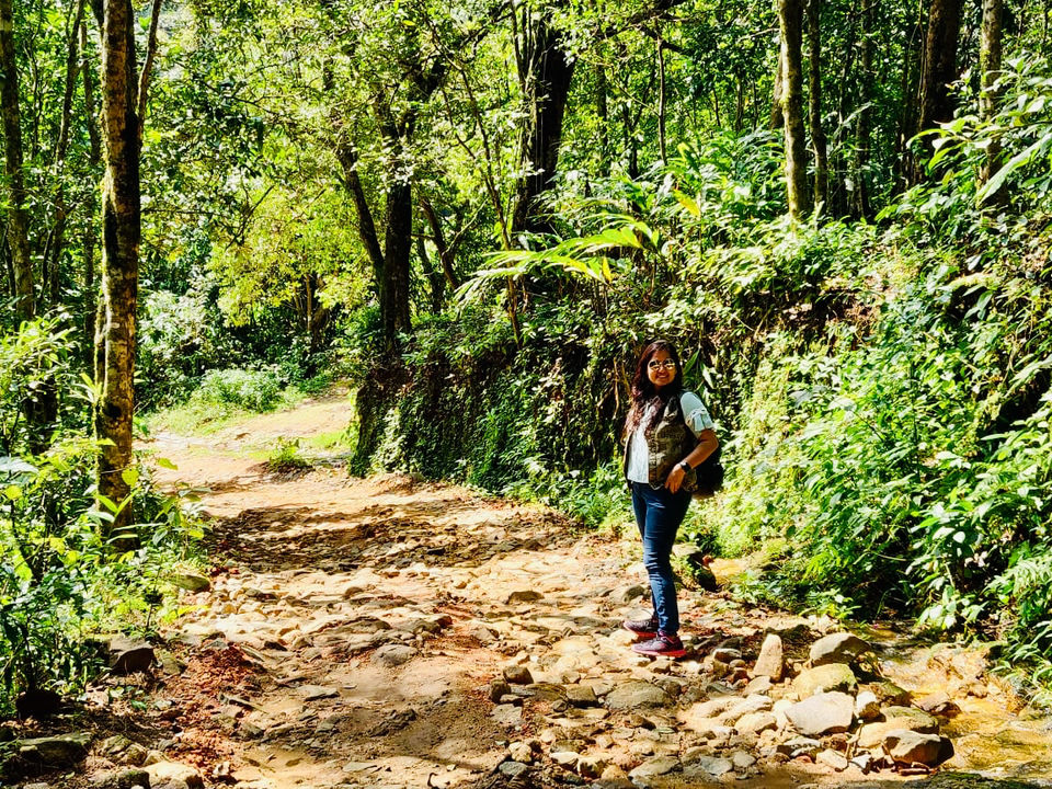 Photo of Vagamon by priya payal