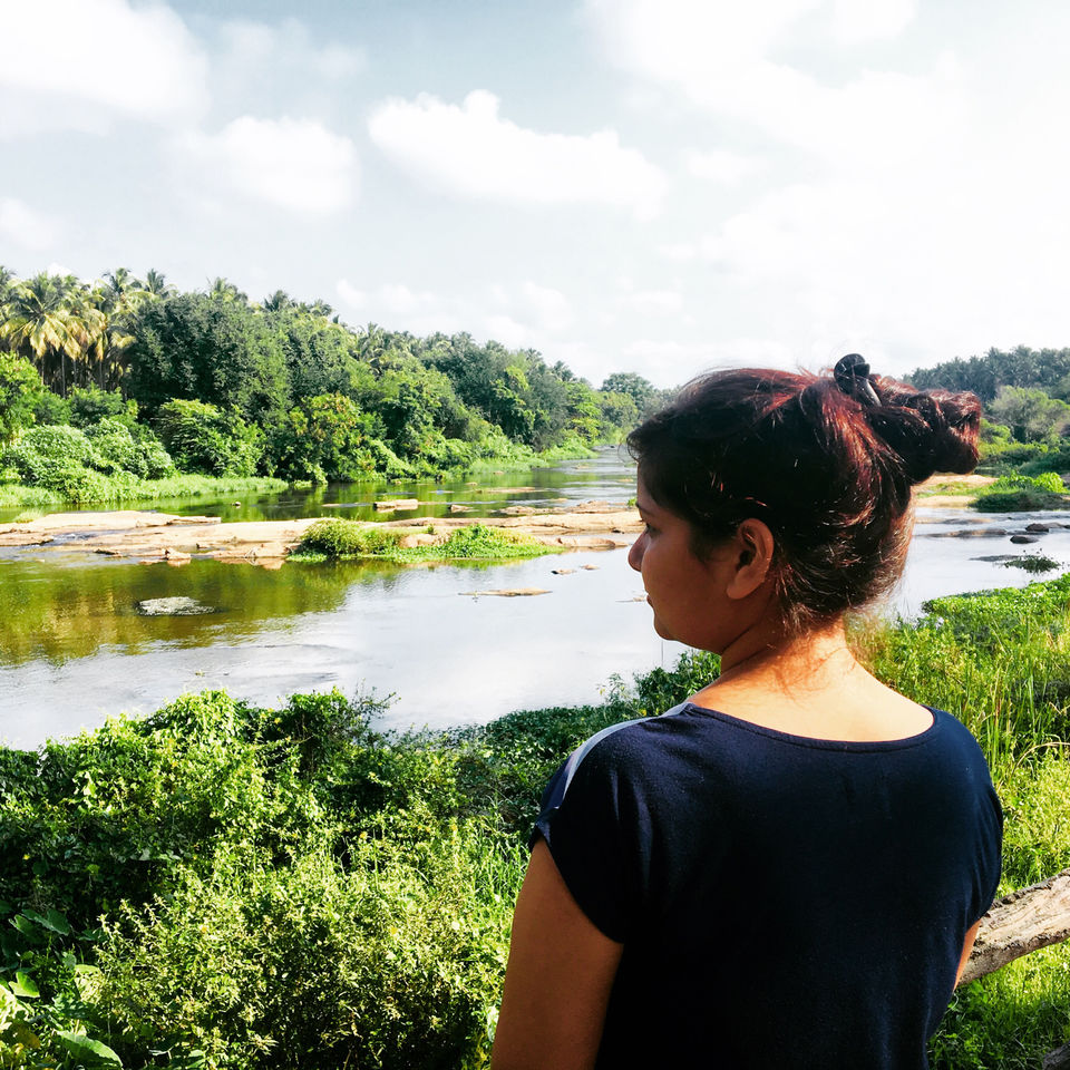 Photo of Pollachi, Tamil Nadu, India by priya payal