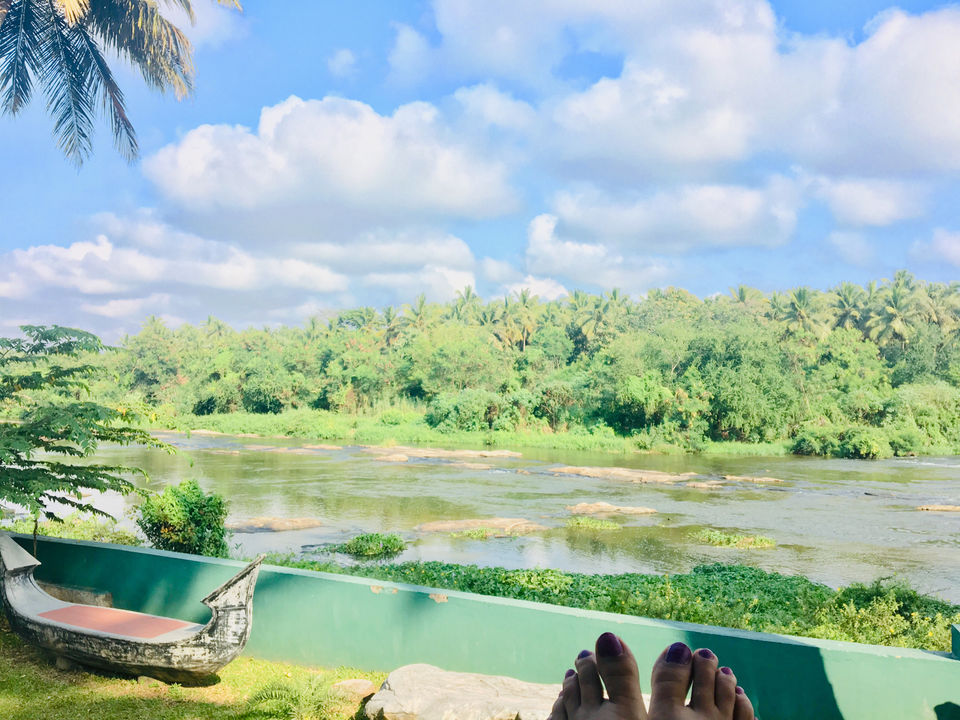 Photo of Pollachi, Tamil Nadu, India by priya payal