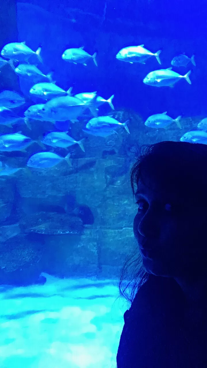 Photo of VGP Marine Kingdom, State Highway 49, Injambakkam, Chennai, Tamil Nadu, India by priya payal