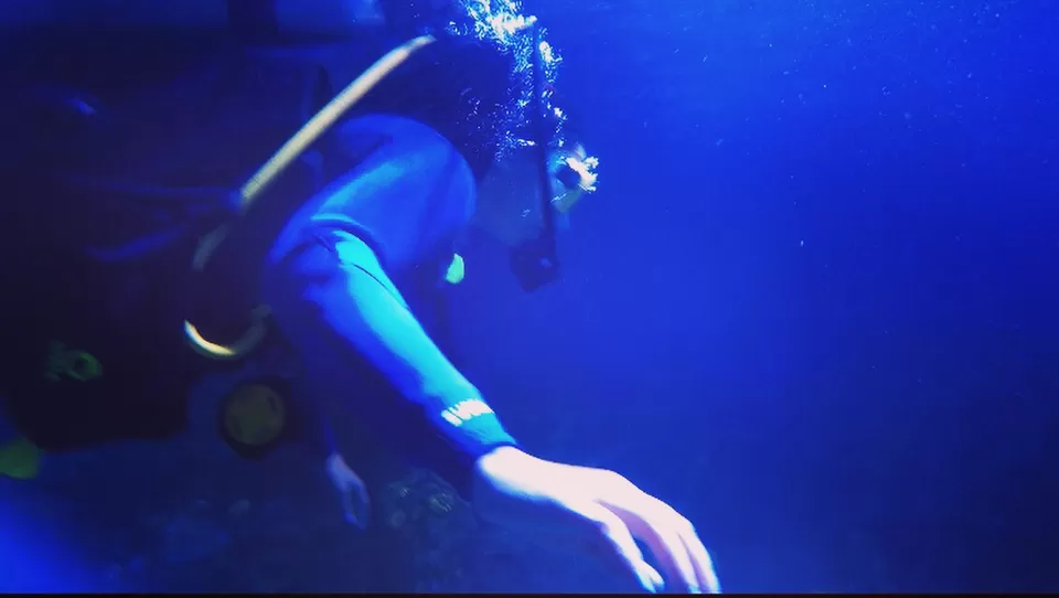 Photo of VGP Marine Kingdom, State Highway 49, Injambakkam, Chennai, Tamil Nadu, India by priya payal