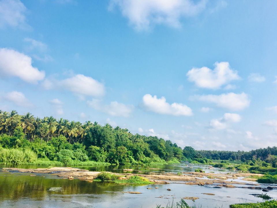 Photo of Pollachi - A Greenery Gateway!!! by priya payal