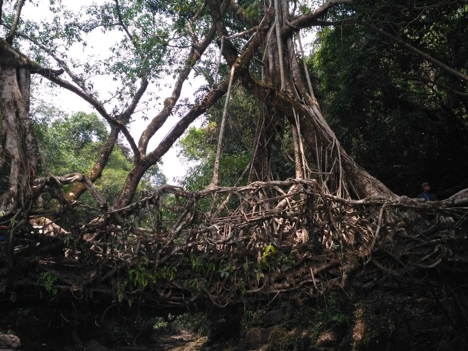 Photo of MEGHALAYA TRIP (Day 2) 4/15 by Piyush