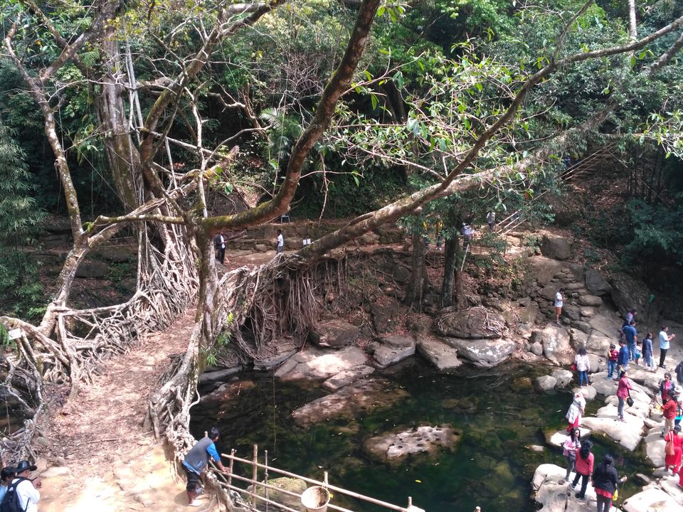 Photo of MEGHALAYA TRIP (Day 2) 5/15 by Piyush