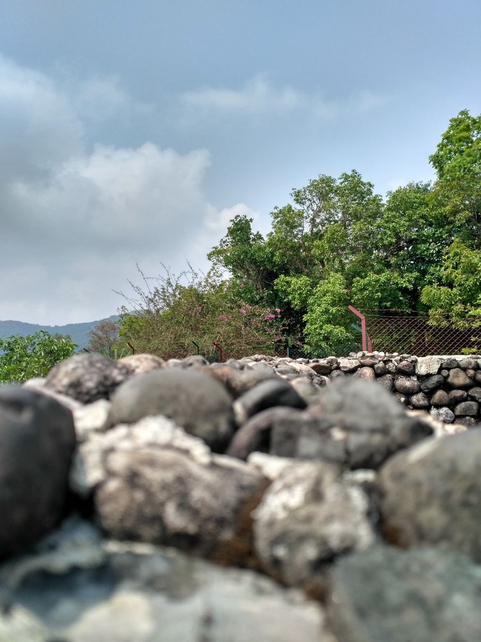 Photo of Meghalaya Trip (Day 3) 16/27 by Piyush