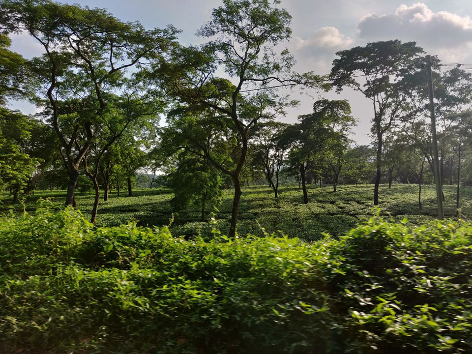 Photo of 2 Days in Darjeeling by Akash Majumder