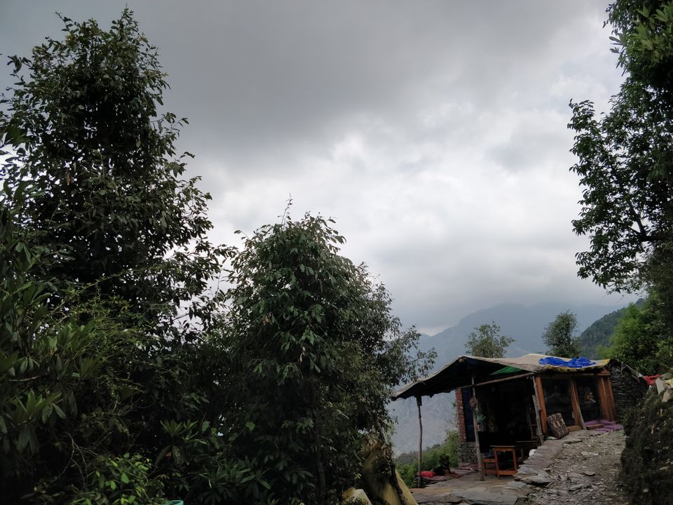 Photo of Gallu Devi To Baal, Dharamshala, Himachal Pradesh, India by Ria Haty