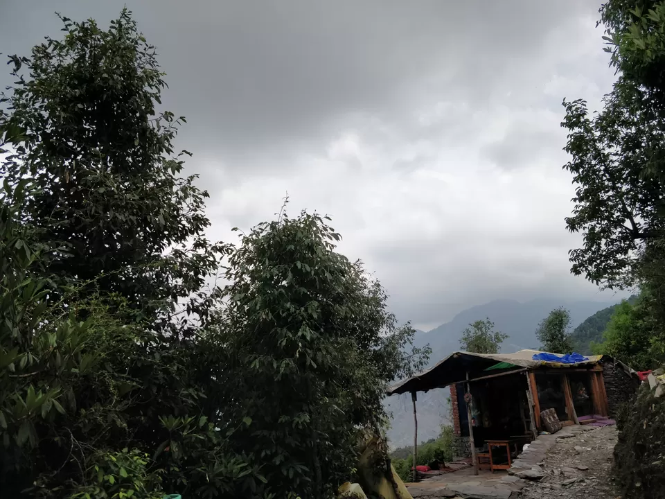Photo of Gallu Devi To Baal, Dharamshala, Himachal Pradesh, India by Ria Haty