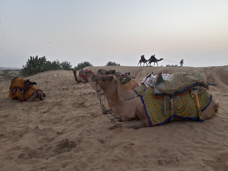 Photo of Sam Sand Dunes, Kanoi, Rajasthan, India by Mitali Deshmukh