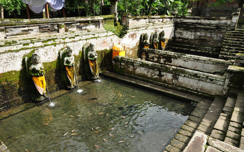 Photo of Unbelievable Things to Do in Bali – the ‘Island of the Gods’ 3/6 by Dipika Sharma