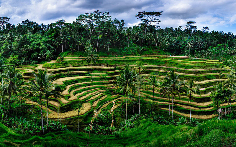 Photo of Unbelievable Things to Do in Bali – the ‘Island of the Gods’ 6/6 by Dipika Sharma