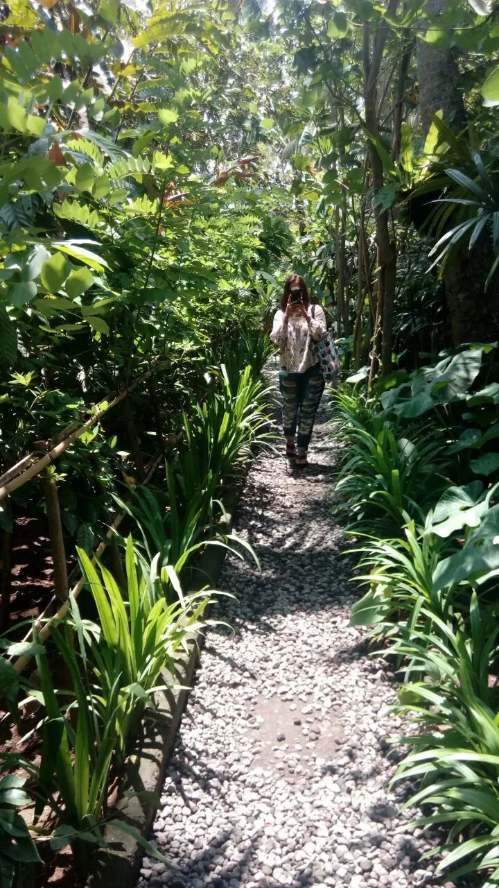 Photo of Ubud, Gianyar, Bali, Indonesia by Neha Ahuja