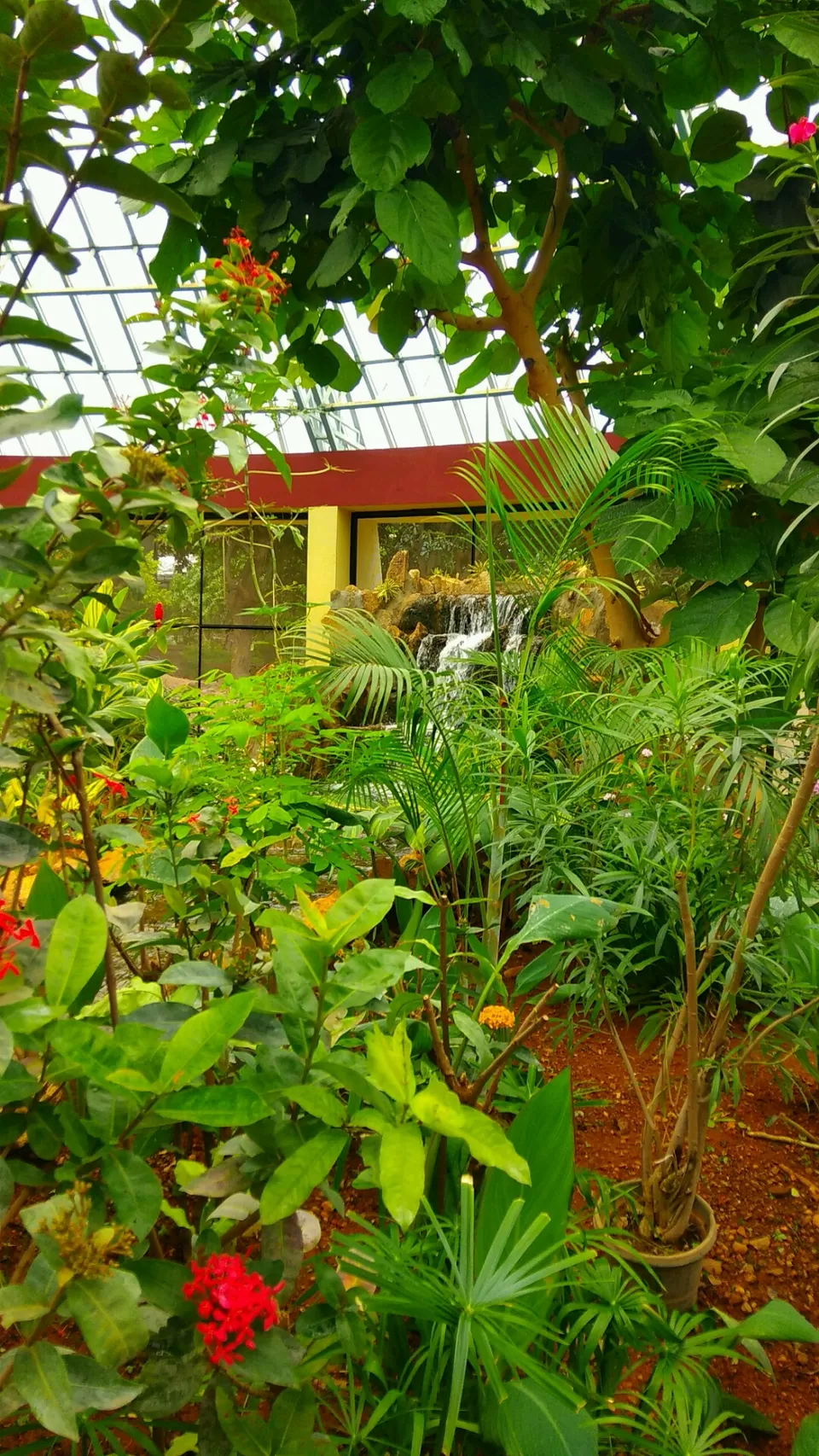 Photo of Bannerghatta National Park, Bannerughatta, Bengaluru, Karnataka, India by priyanka kakade