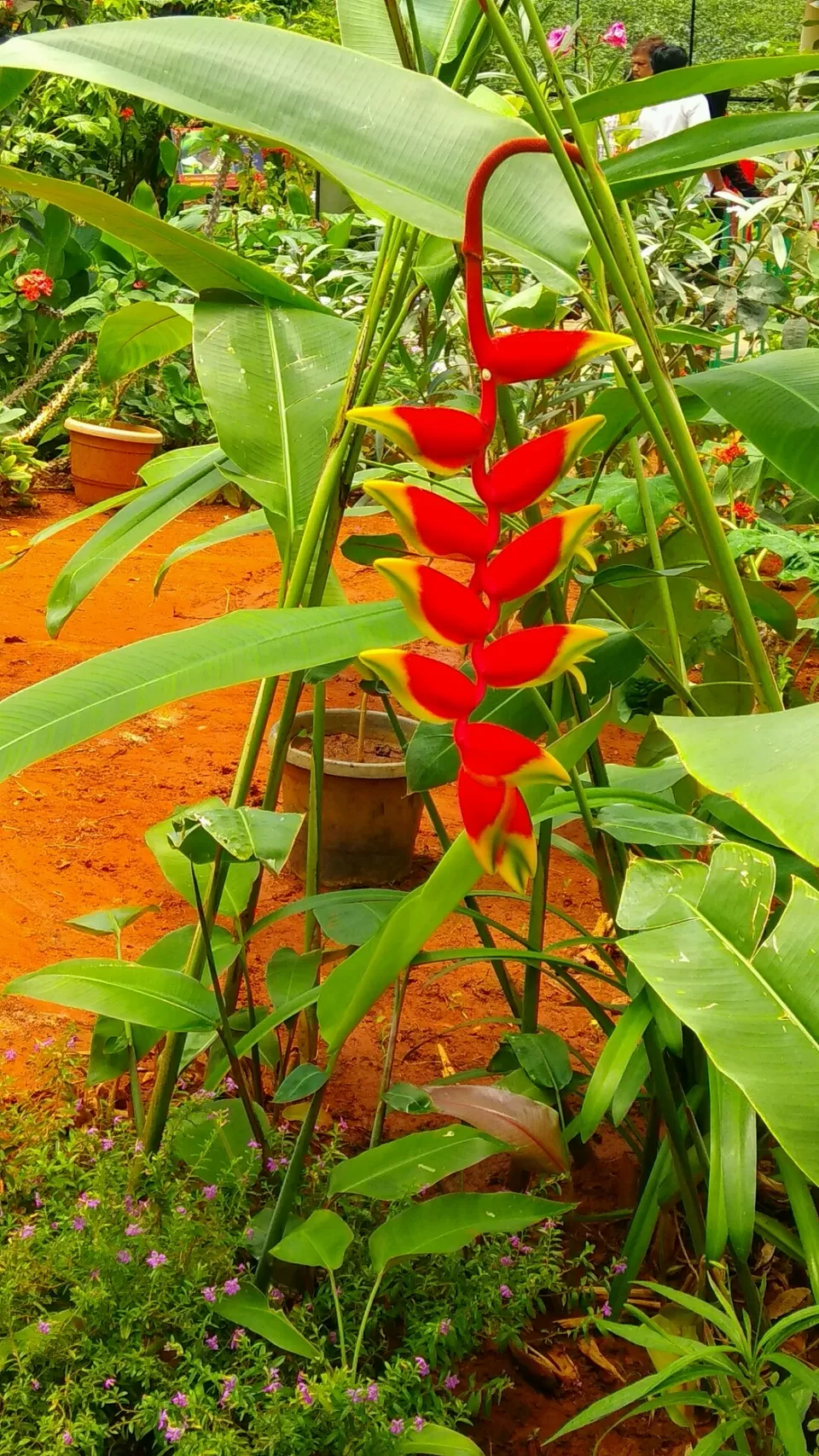 Photo of Bannerghatta National Park, Bannerughatta, Bengaluru, Karnataka, India by priyanka kakade