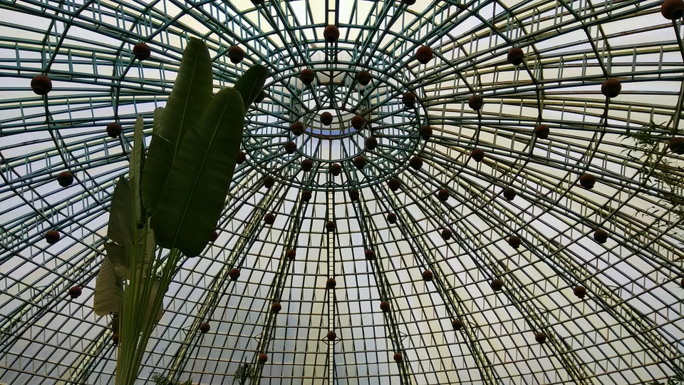 Photo of Bannerghatta National Park, Bannerughatta, Bengaluru, Karnataka, India by priyanka kakade