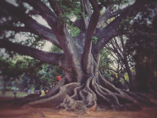 Photo of Weekend getaway to Banglore (Banglore Days) by priyanka kakade