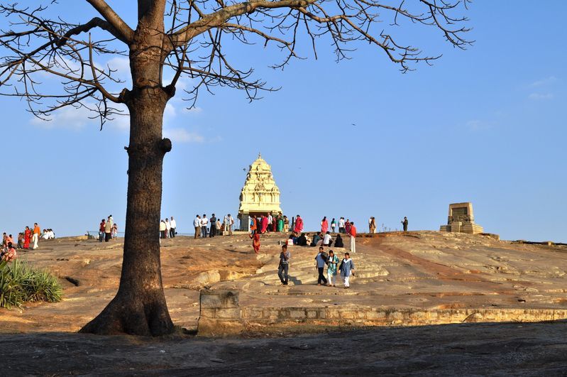 Photo of Lalbagh Botanical Garden, Bengaluru, Karnataka, India by priyanka kakade