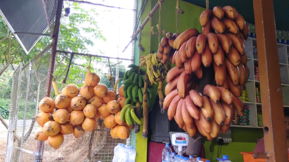 Photo of 8 girls from different cities on a bacherellote trip to Kerala - Part 1 by priyanka kakade
