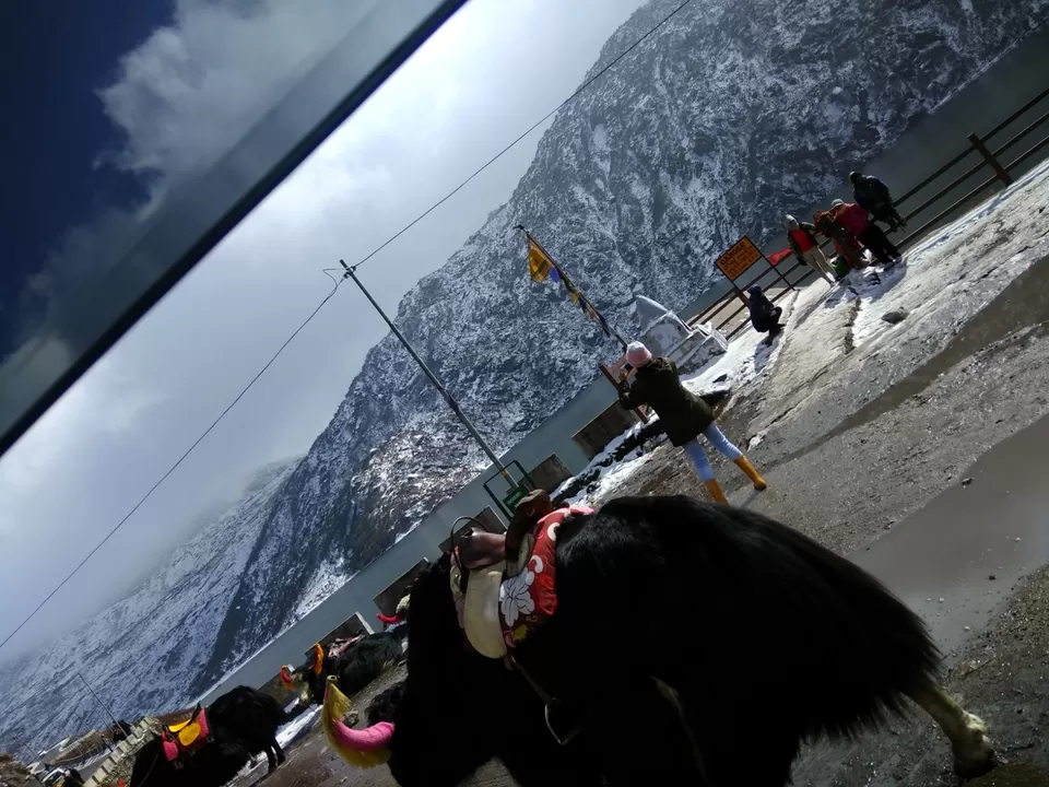 Photo of Tsomgo Lake, Sikkim, India by Vinaykumar jain