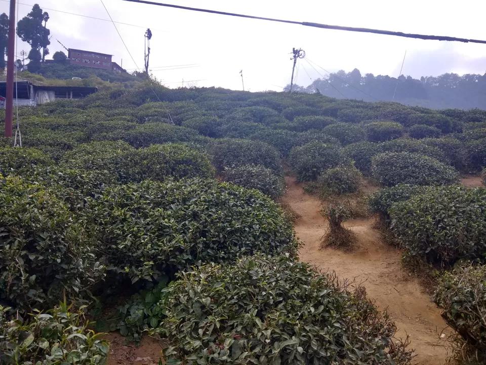 Photo of 3 states under 17k by Vinaykumar jain