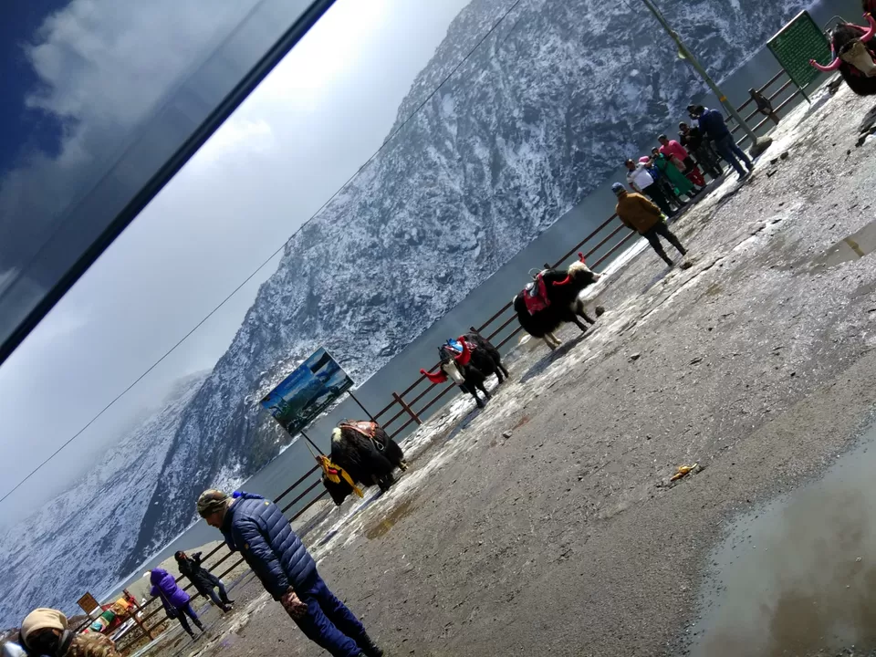 Photo of Tsomgo Lake, Sikkim, India by Vinaykumar jain