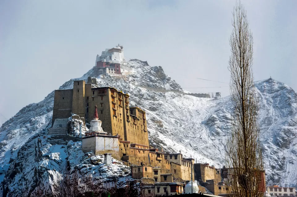 Photo of Leh by Mia Raghavi