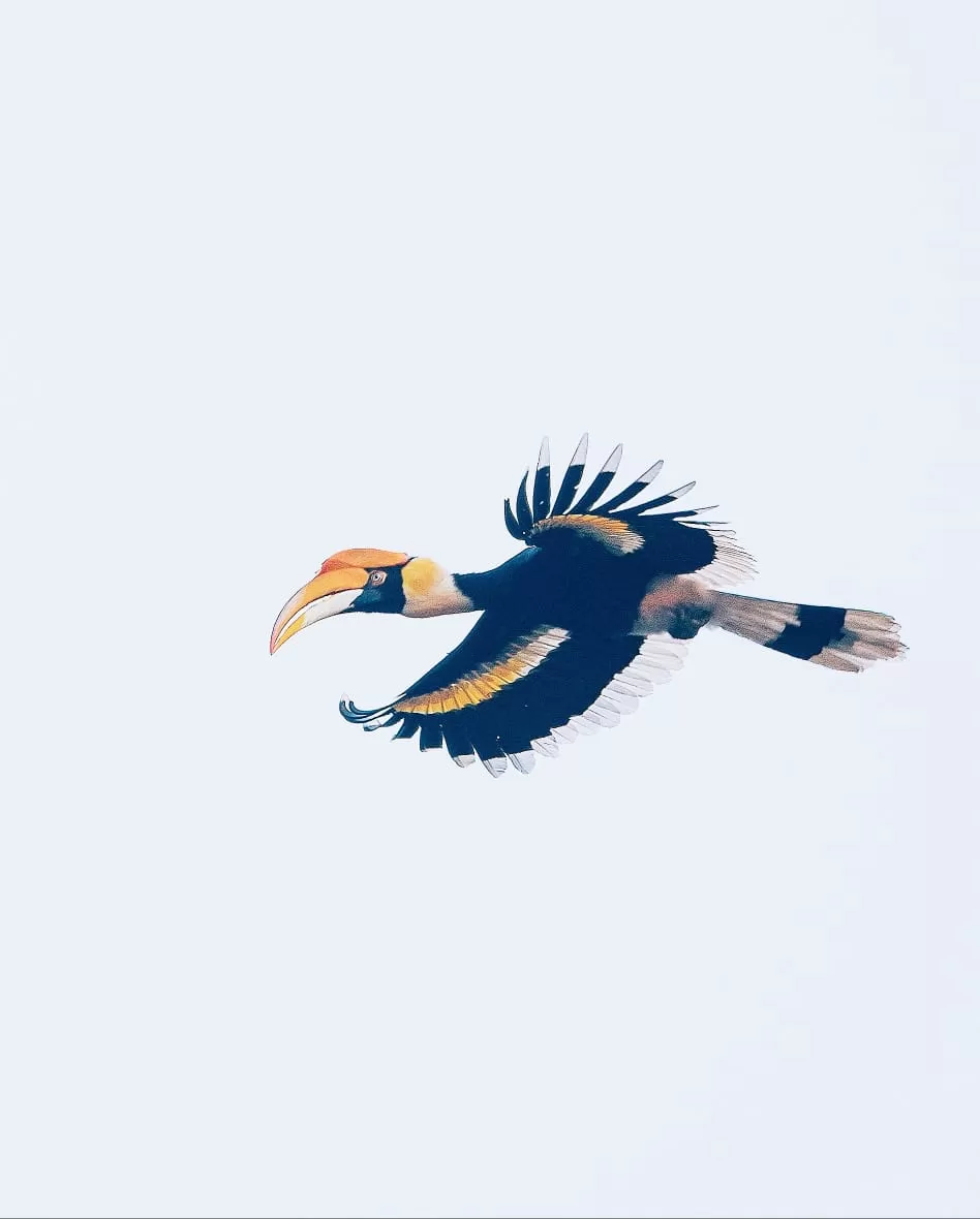 Photo of Complete Travel Guide to Jim Corbett National Park by Deepak Sharma