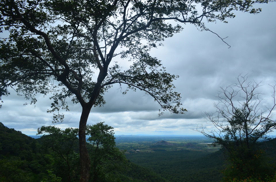 Photo of Break to breathe 20/29 by Ronit Paul