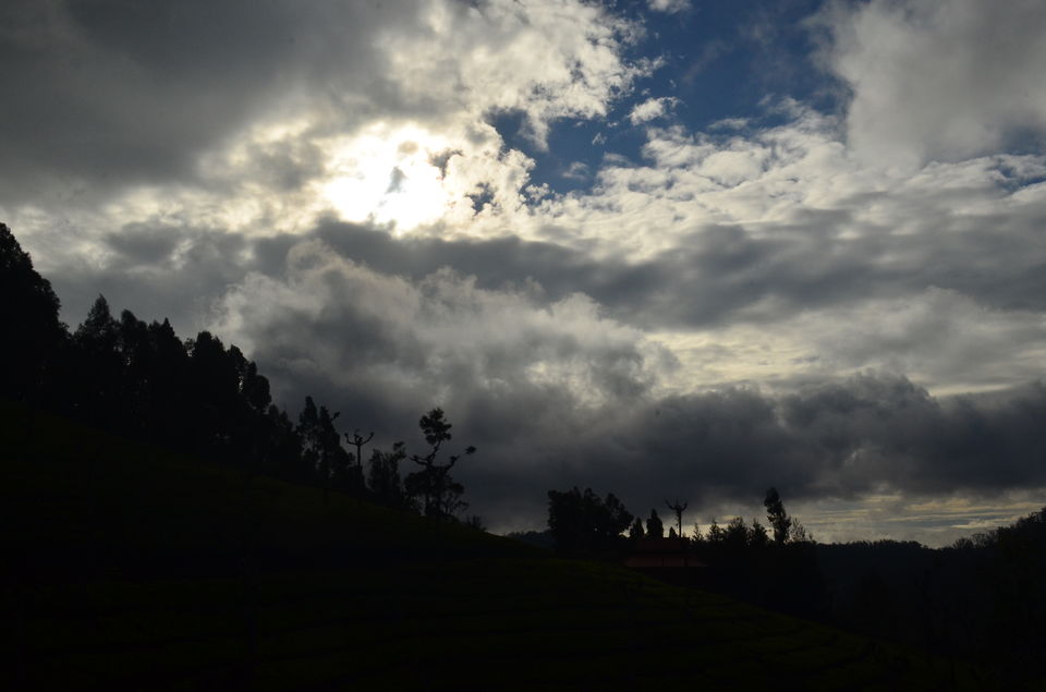Photo of Break to breathe 10/29 by Ronit Paul