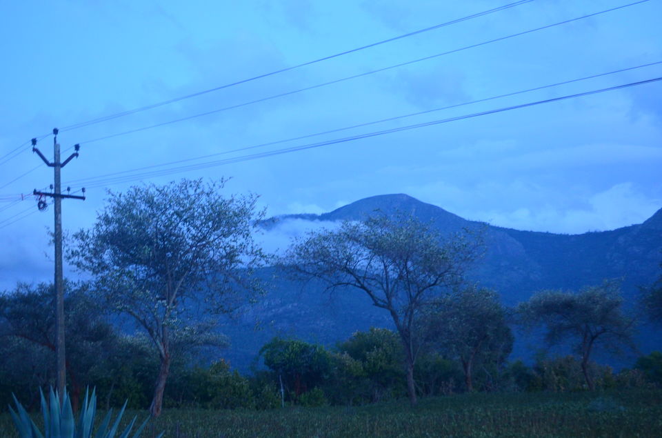 Photo of Break to breathe 12/29 by Ronit Paul