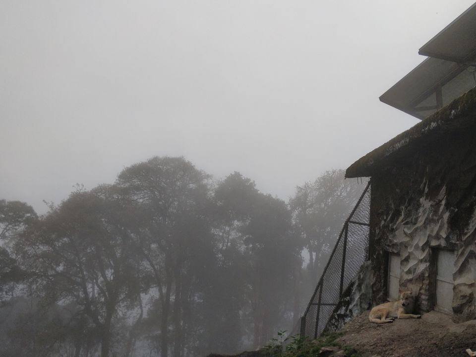 Photo of The ZiGzAg Route - Sikkim by Mansi Porwal