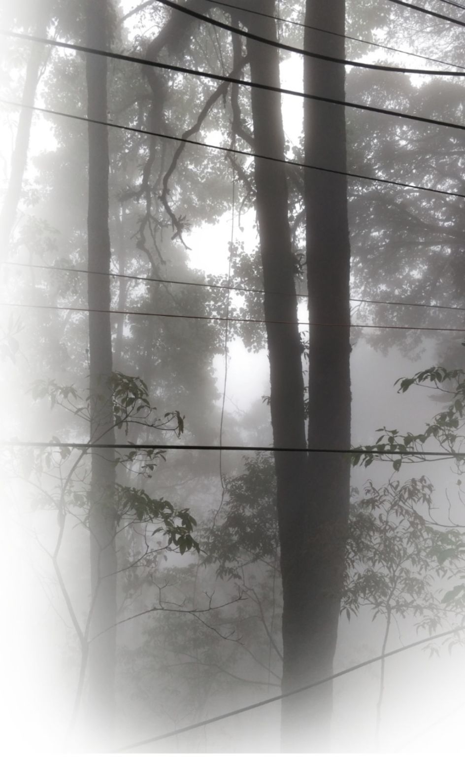 Photo of The ZiGzAg Route - Sikkim by Mansi Porwal