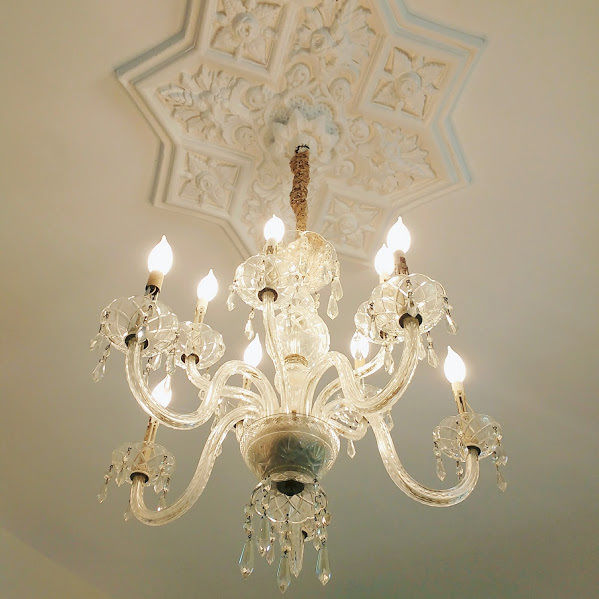 Photo of A Travel In Time: The Hemingway Home, Key West, Florida by Chandrima Chakraborty
