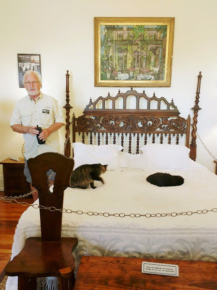 Photo of A Travel In Time: The Hemingway Home, Key West, Florida by Chandrima Chakraborty