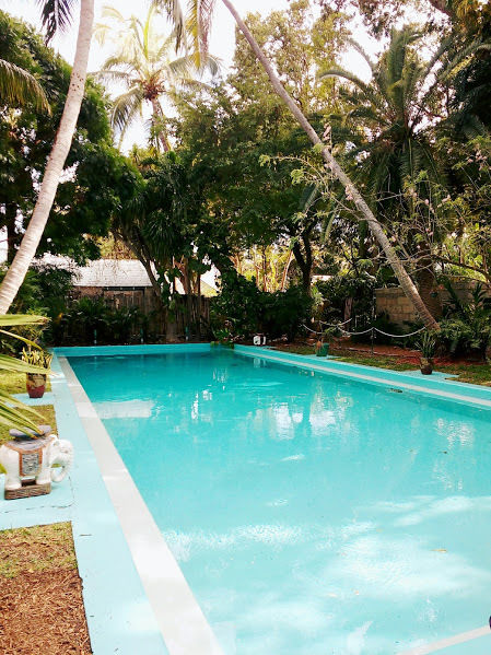 Photo of A Travel In Time: The Hemingway Home, Key West, Florida by Chandrima Chakraborty