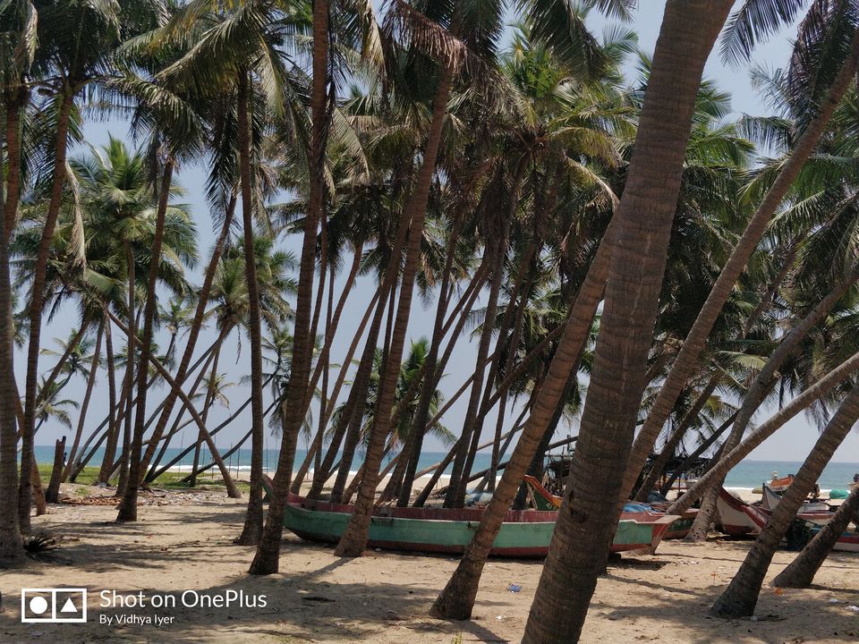 Photo of Pondicherry: WhatUp Beaches!! 6/10 by sagar manchanda