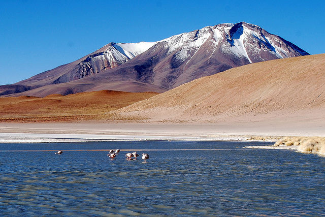 Photo of Top thing to do before you die, in Bolivia. by Madhab Burman