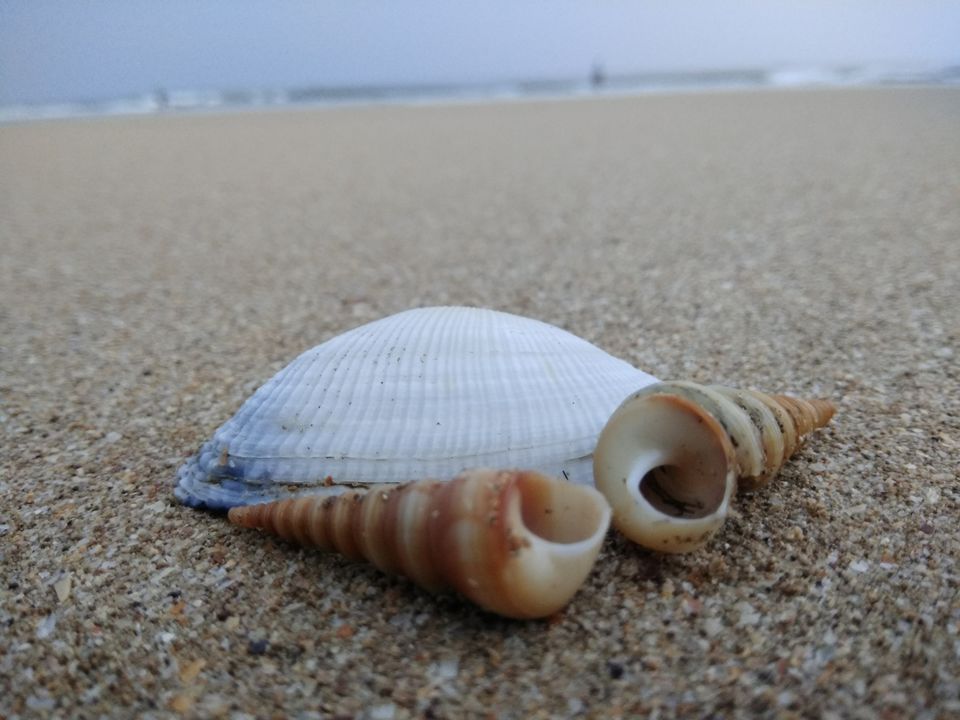 Photo of Guhagar, Maharashtra, India by Harshada Panchal