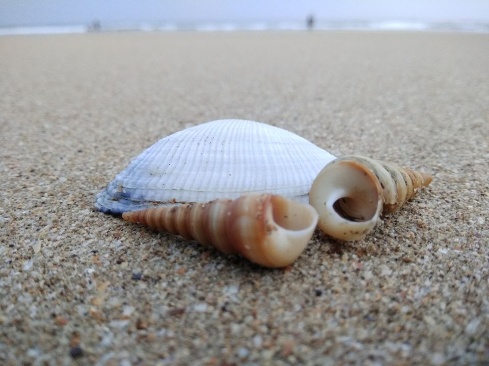 Photo of Trip to Guhagar beach.. best Lighthouse experience ever! by Harshada Panchal