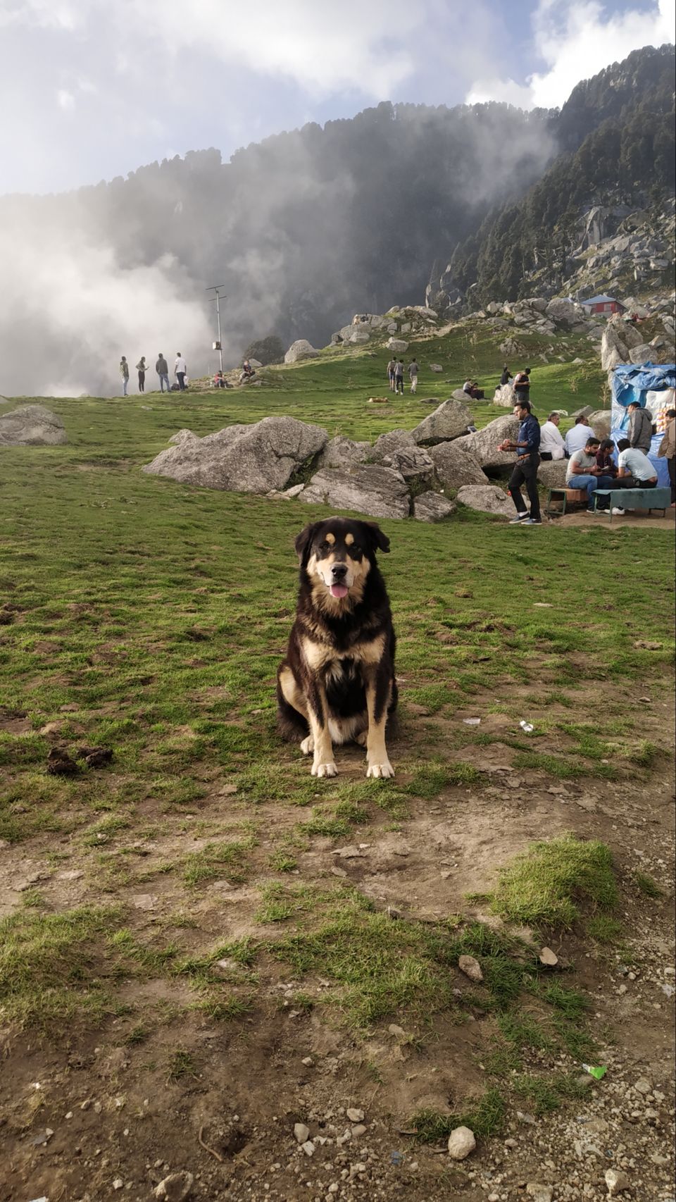 Photo of Triund Trek and Mcleodganj by Aman Jaryal