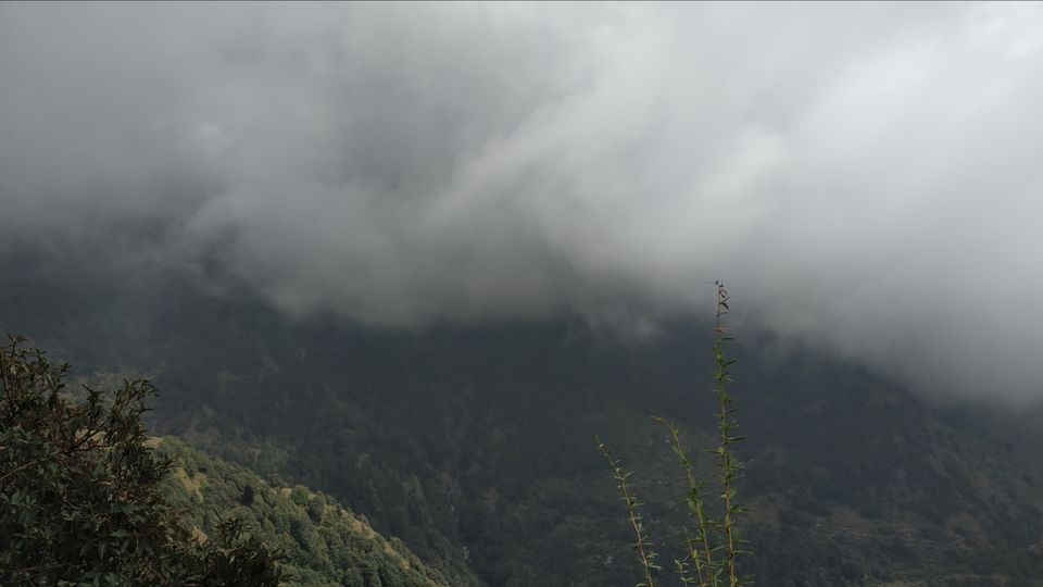 Photo of Triund, Himachal Pradesh by Aman Jaryal