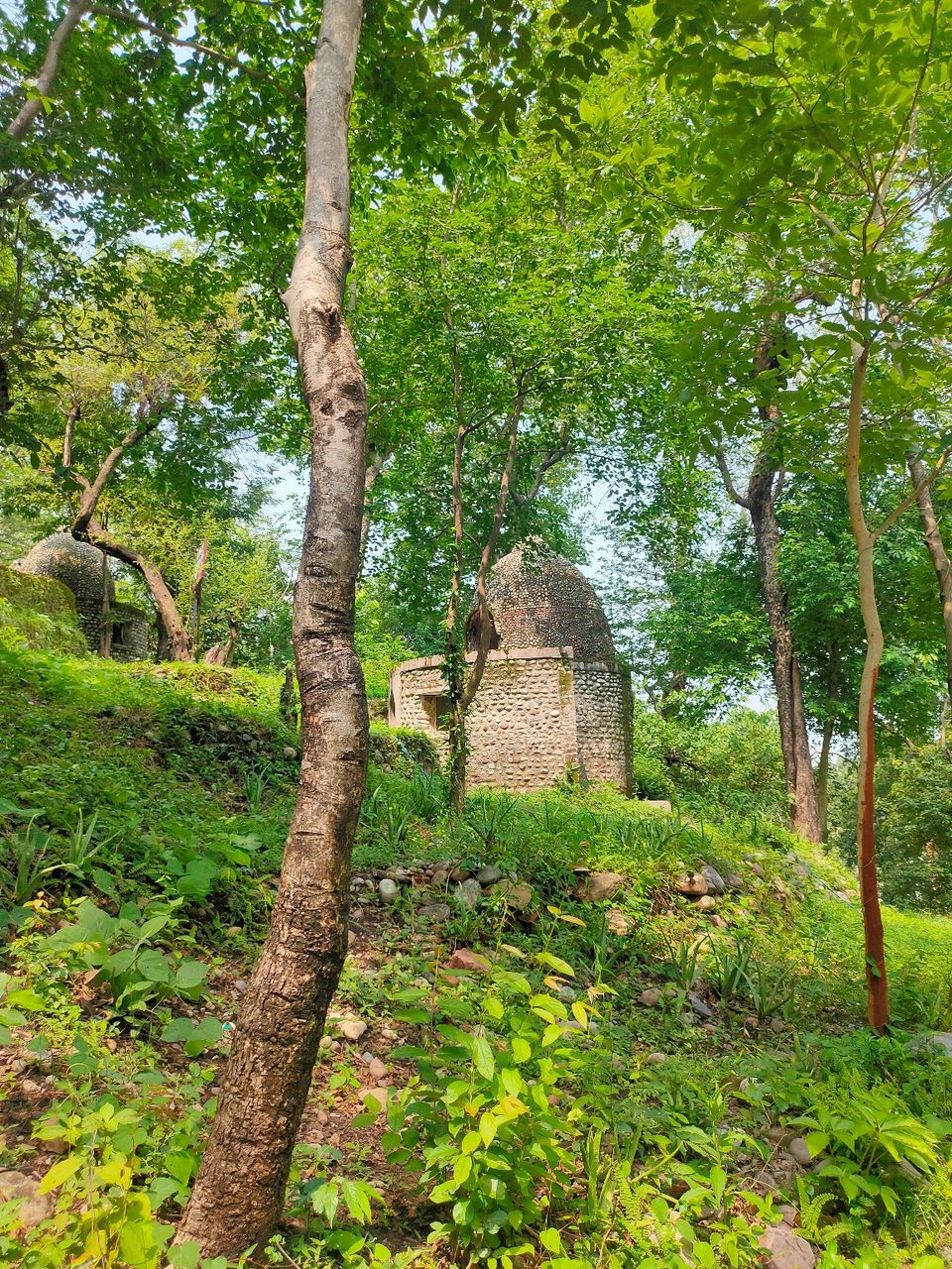 Photo of Beatles Ashram by Aman Jaryal