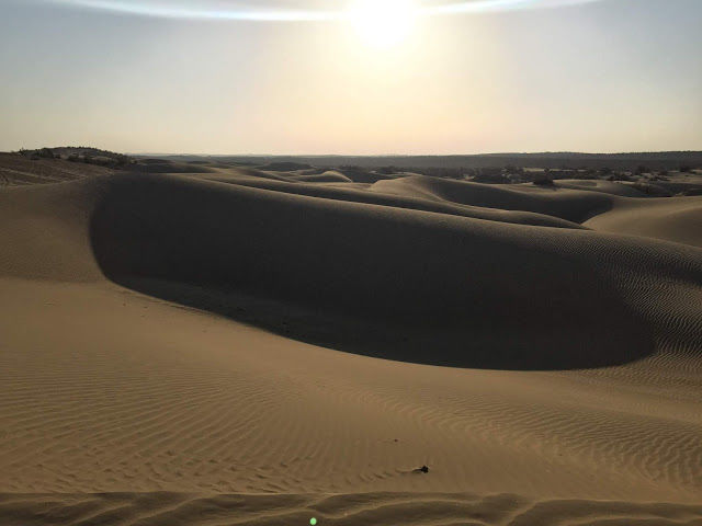 Photo of Where The Caravan Camels Roam by Saloni Agarwal