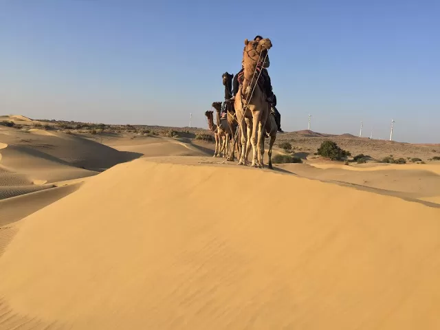 Photo of Thar Desert, Rajasthan by Saloni Agarwal