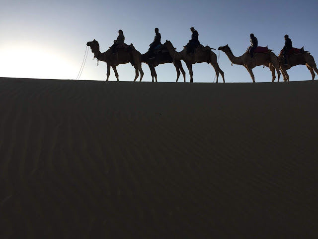 Photo of Where The Caravan Camels Roam by Saloni Agarwal